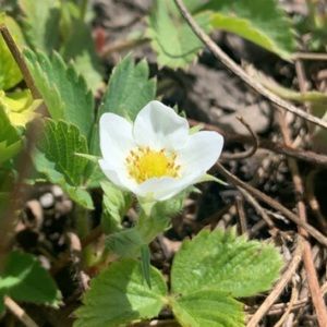 Meet your Posher, Kaylee